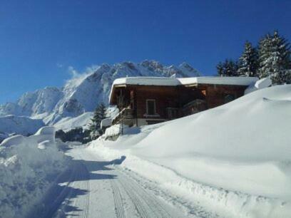 Les Fenetres Du Mont Blanc Lägenhet La Giettaz Exteriör bild